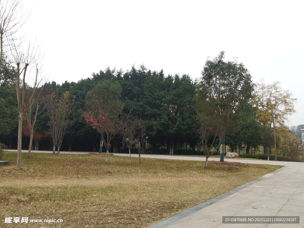 公园开阔草地与林荫小道