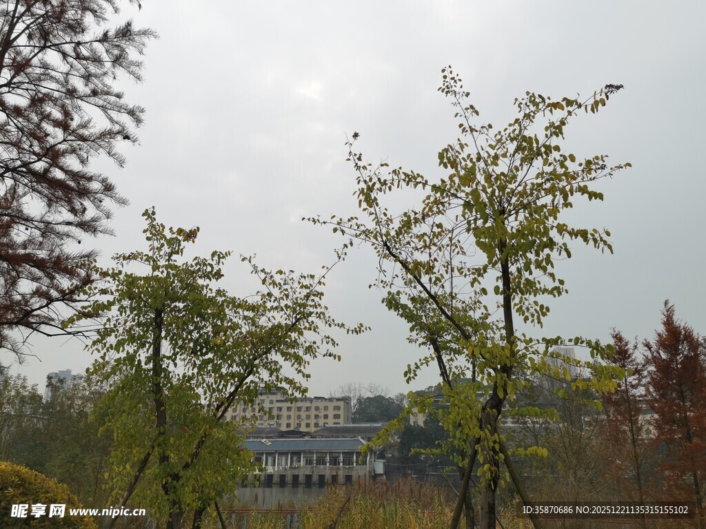 户外绿树环绕的景致