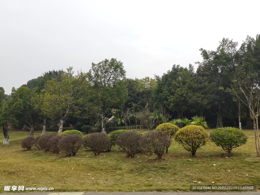 园林景观中的造型绿植