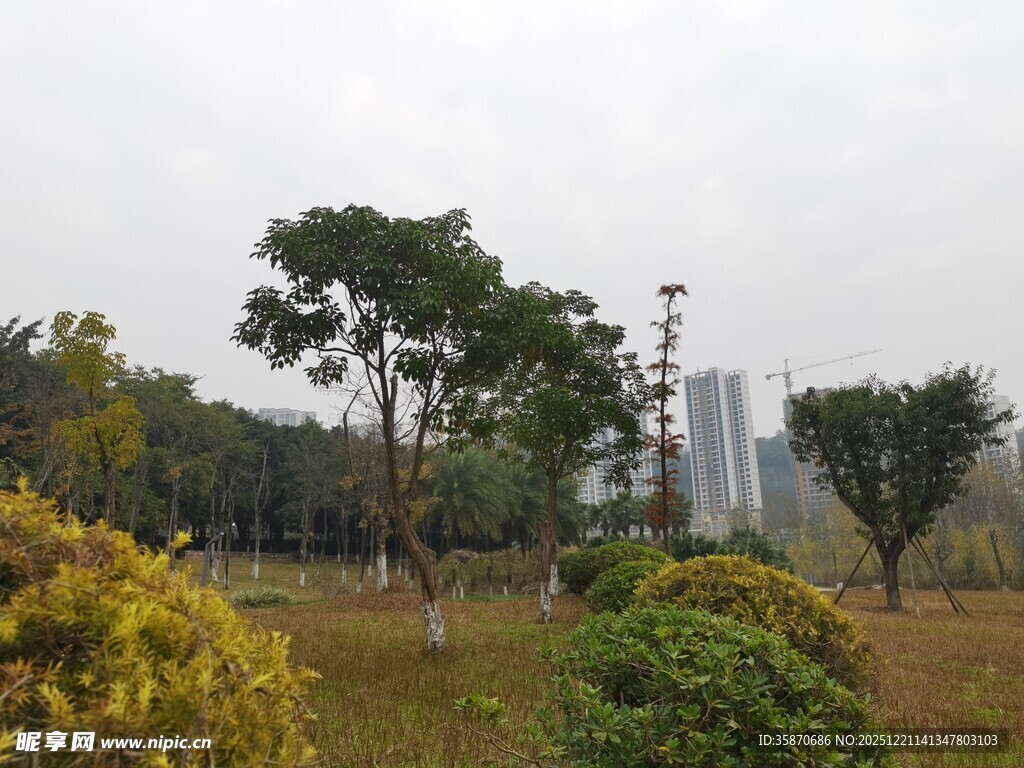 城市中的自然景观一角