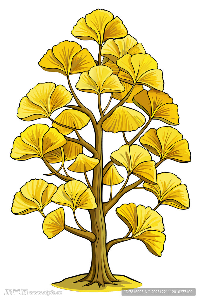 金色银杏树插画