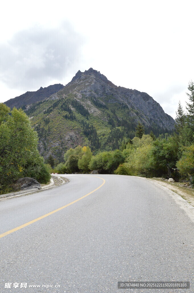 蜿蜒山路旁的青山绿树