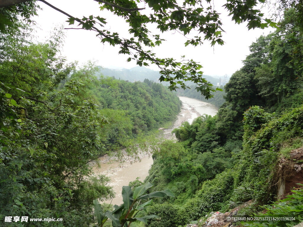 山间蜿蜒河流与葱郁植被