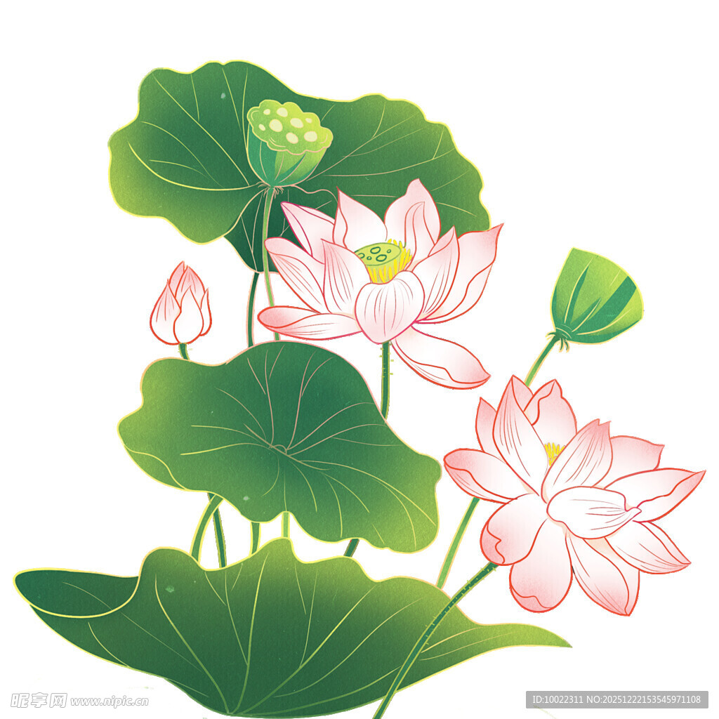 水墨风荷花荷叶插画