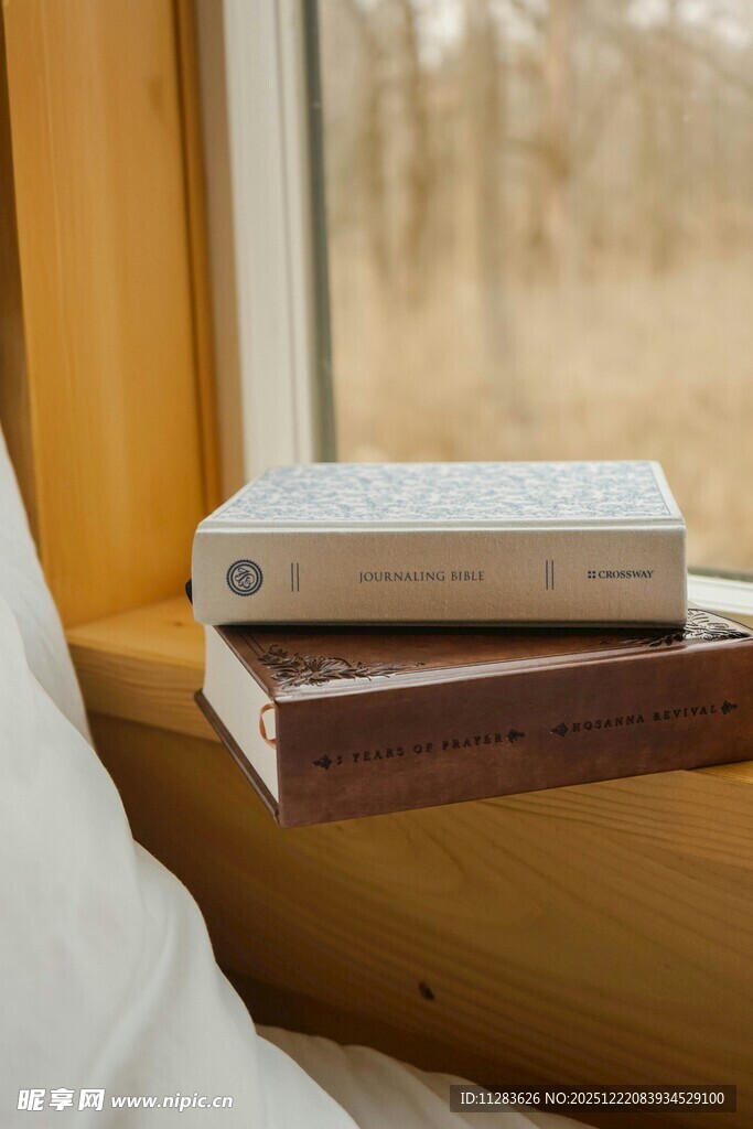 窗边书架上的简约电子设备