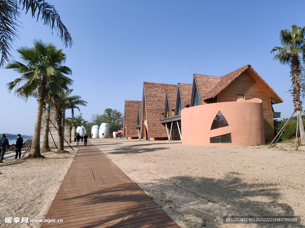 现代风格建筑与棕榈树景观