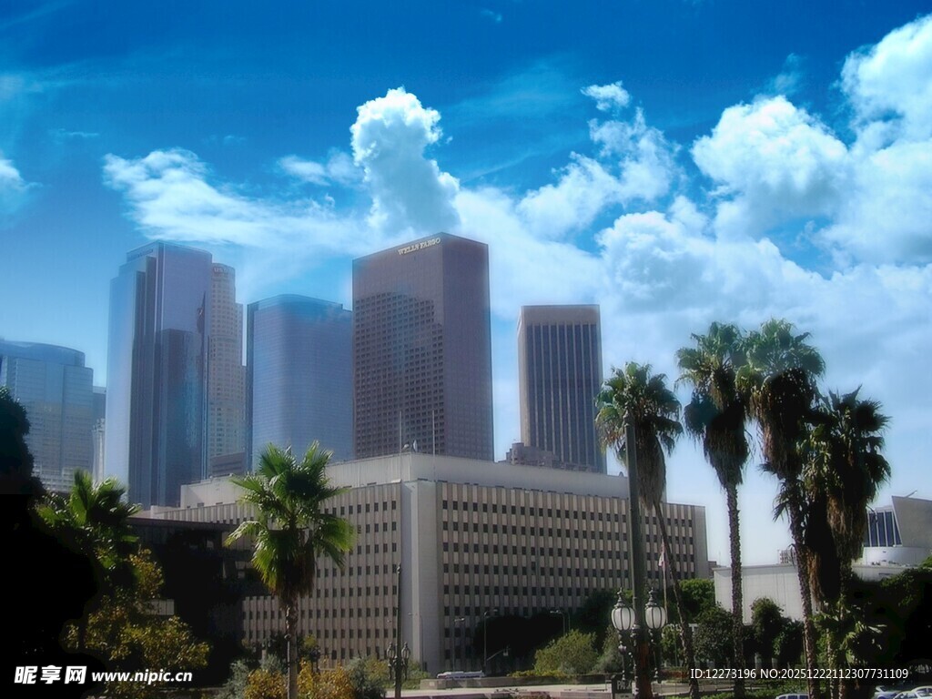 洛杉矶城市天际线与棕榈树