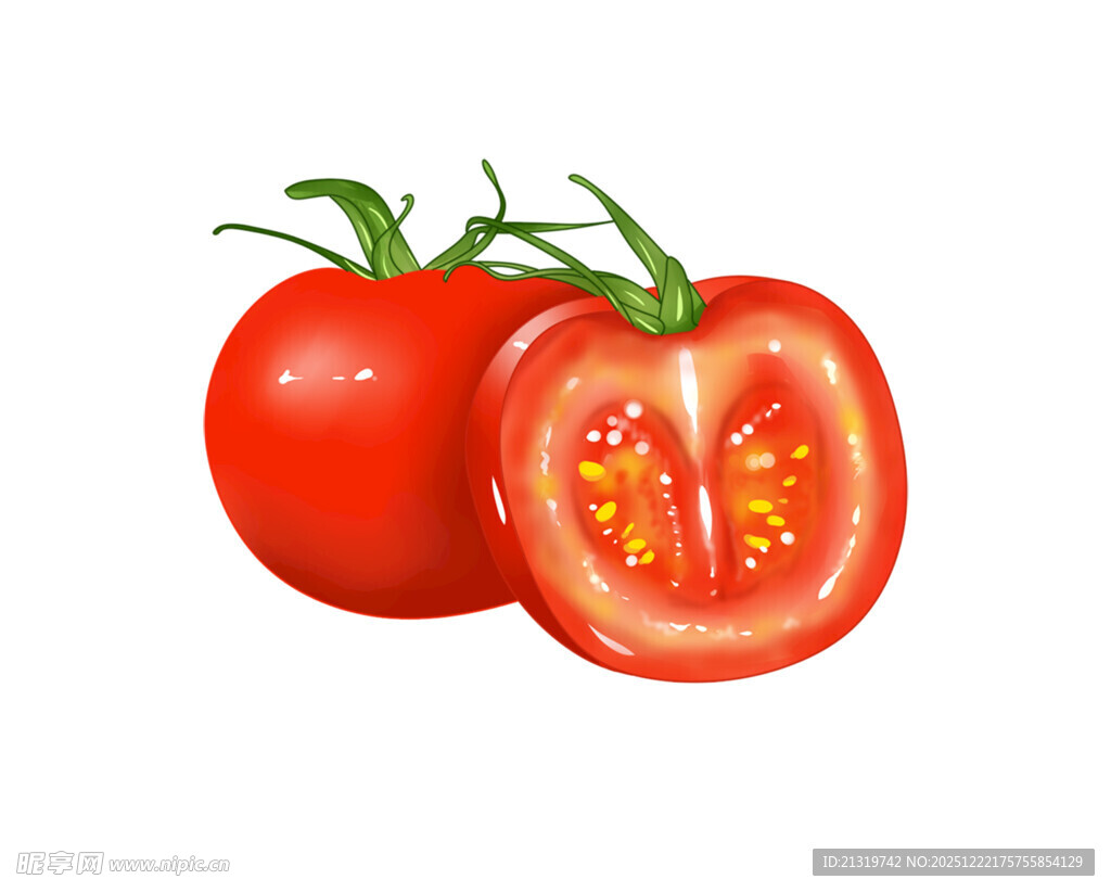西红柿素材