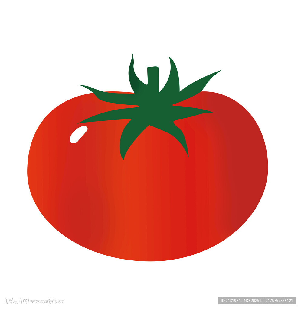 西红柿素材