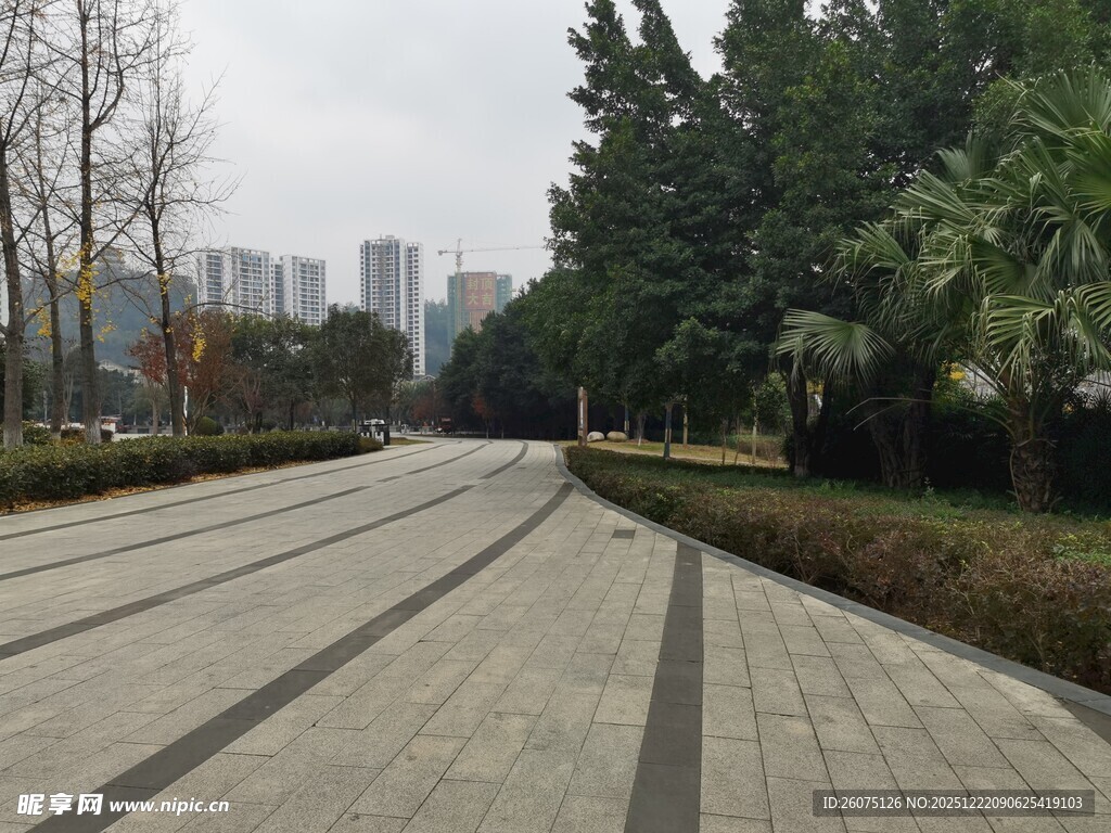 城市林荫步道景观