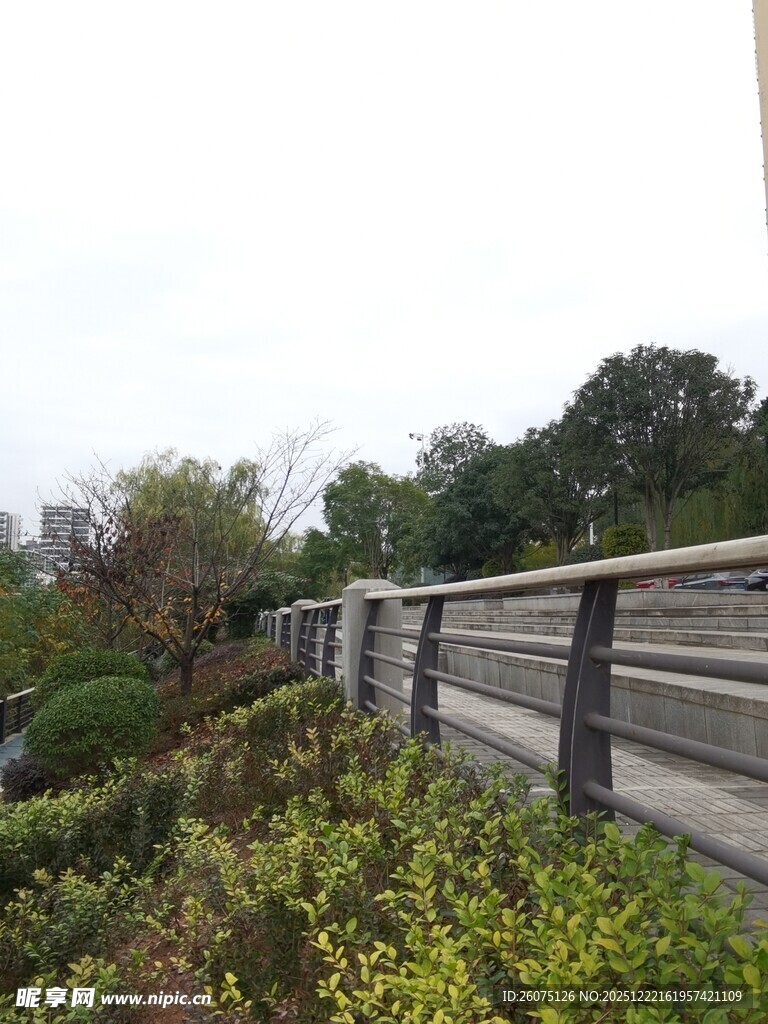 户外木质步道与绿植景观