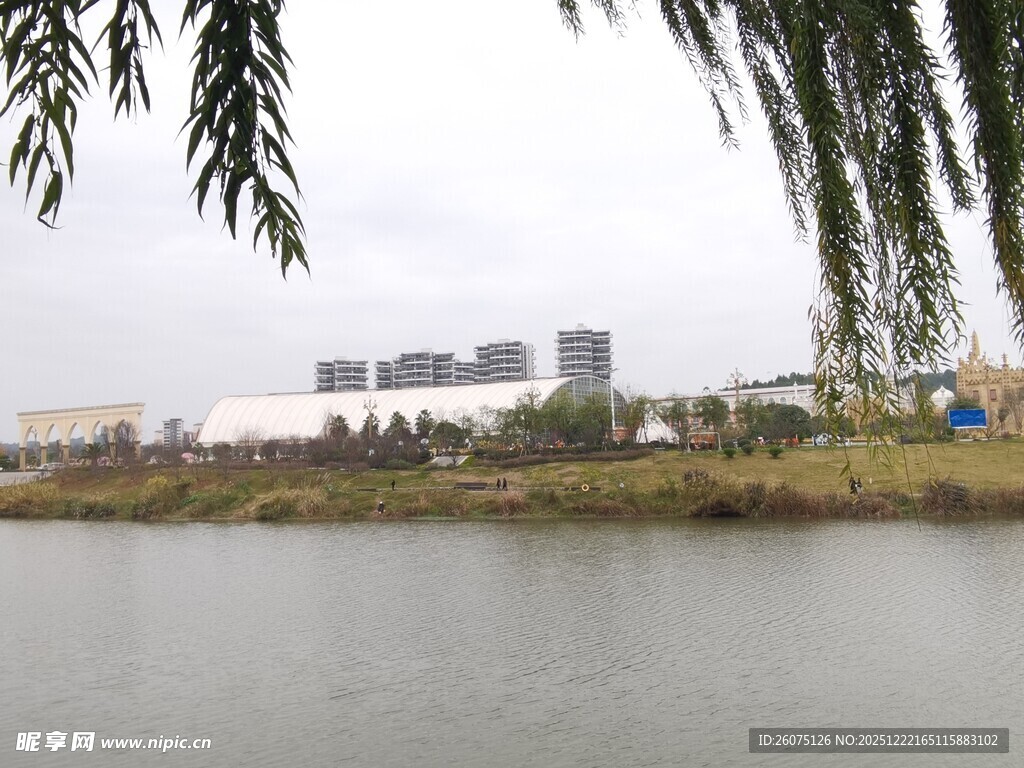 湖畔垂柳与远处建筑景观