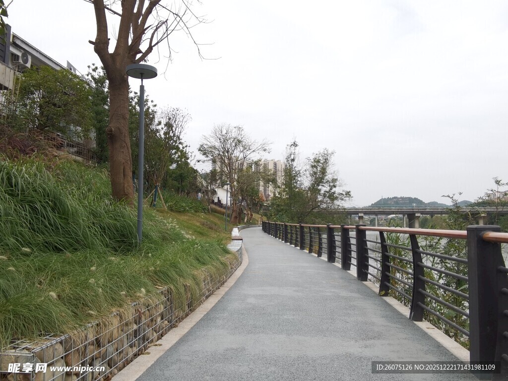 河边幽静步道风景