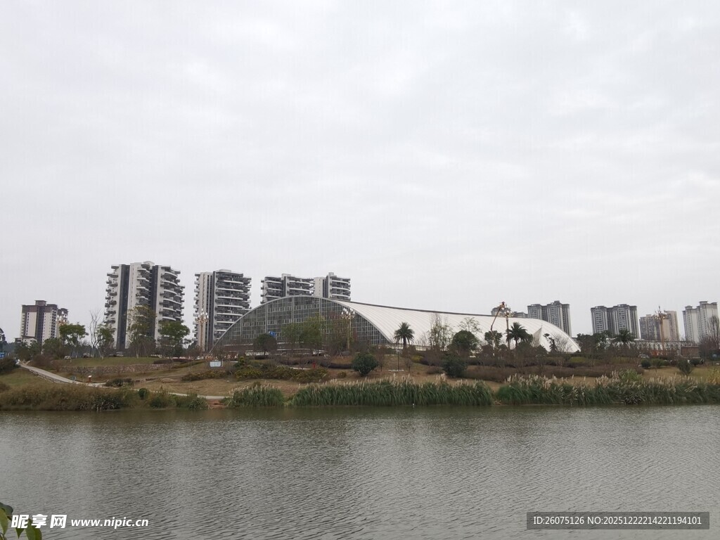 湖畔高楼林立的城市景致