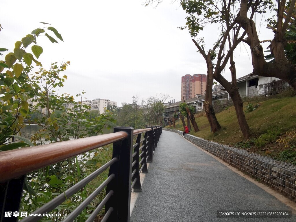 城市林间的幽静步道