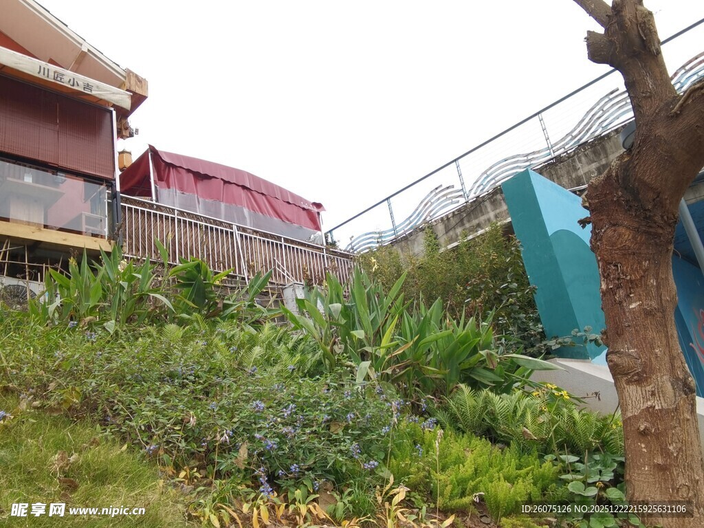 户外绿植环绕的建筑景观