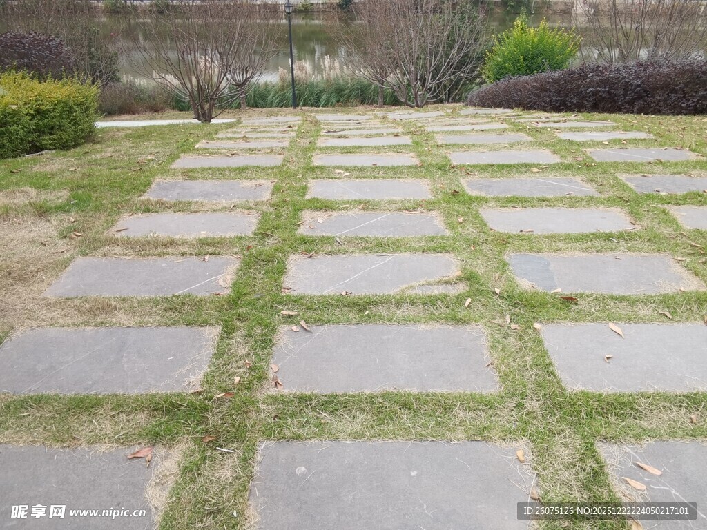 石板铺就的清新庭院小径