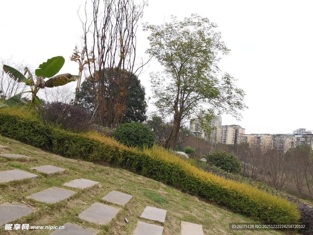 户外园林景观小径