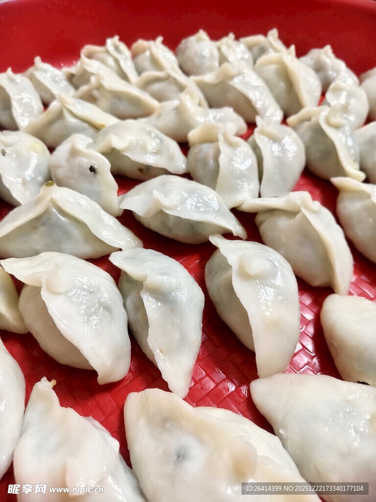 美味饺子整齐摆放