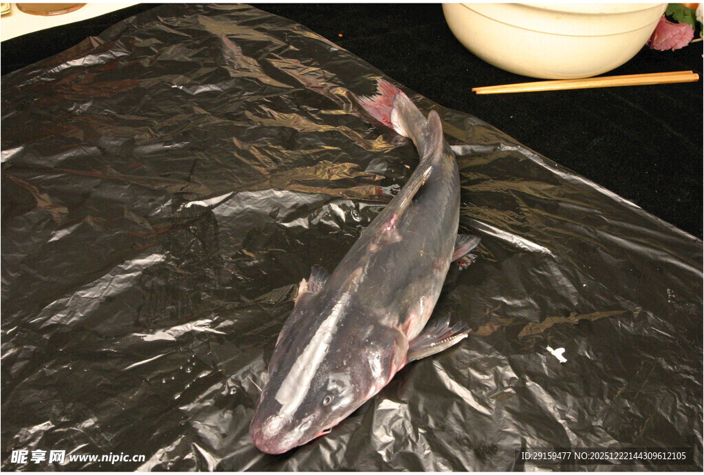 案板上的新鲜大鱼