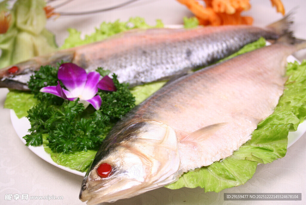 新鲜海鱼摆盘展示