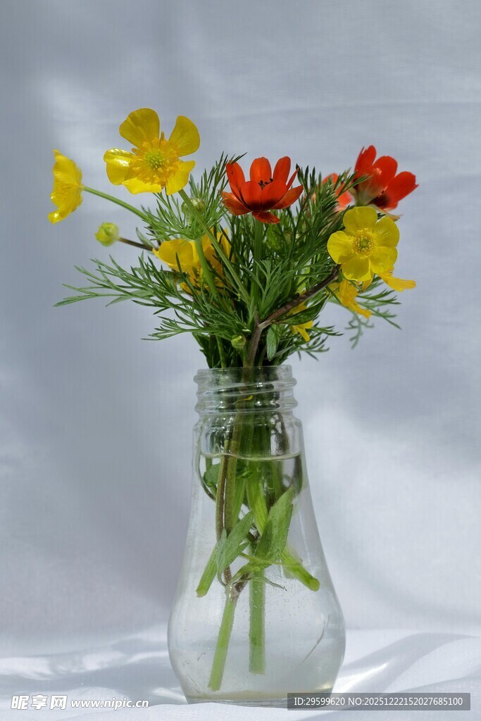 花瓶中的多彩鲜花