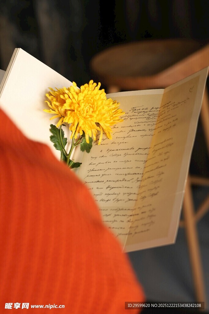 书页间的黄色小花