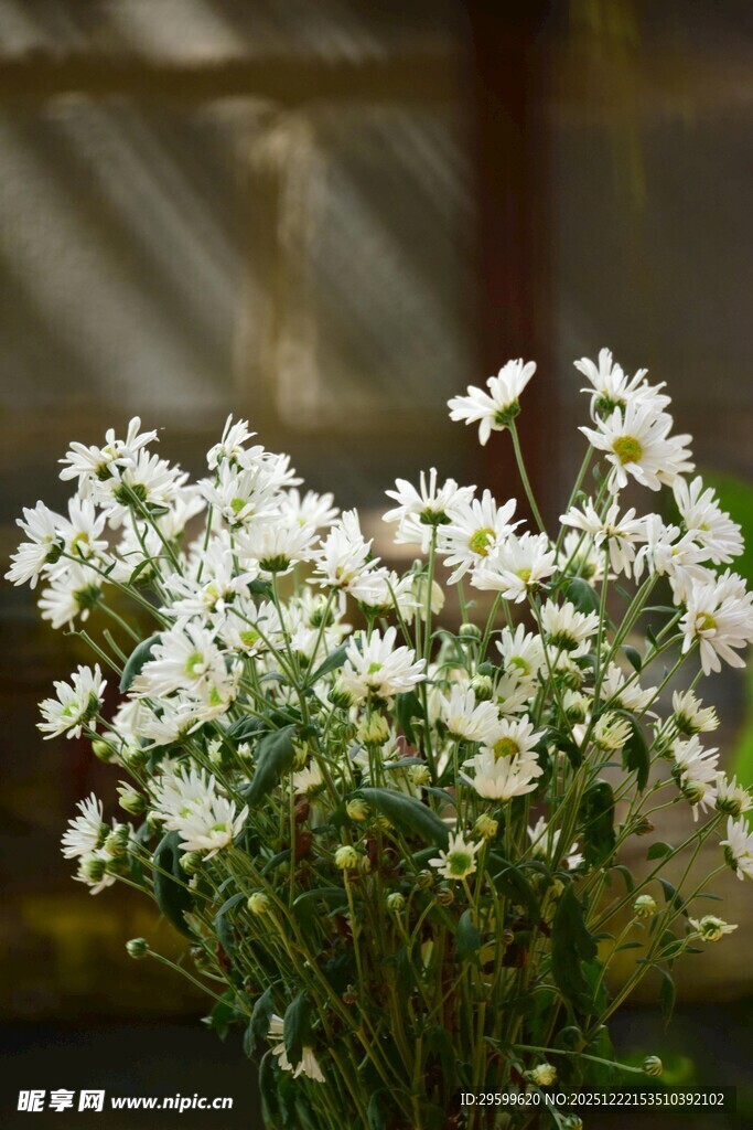 白色小花瓶插清新花卉