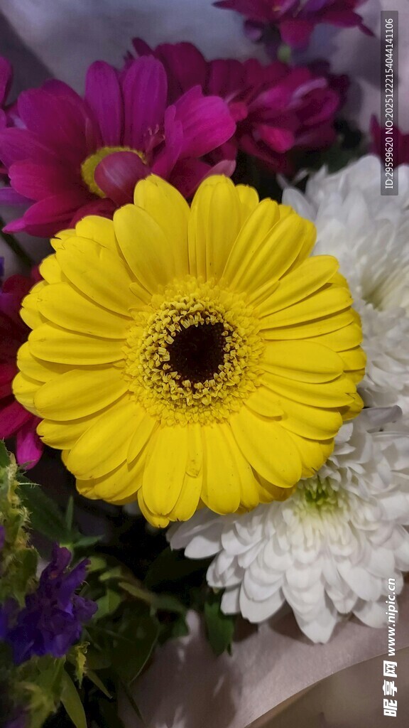 鲜艳多彩非洲菊花卉束