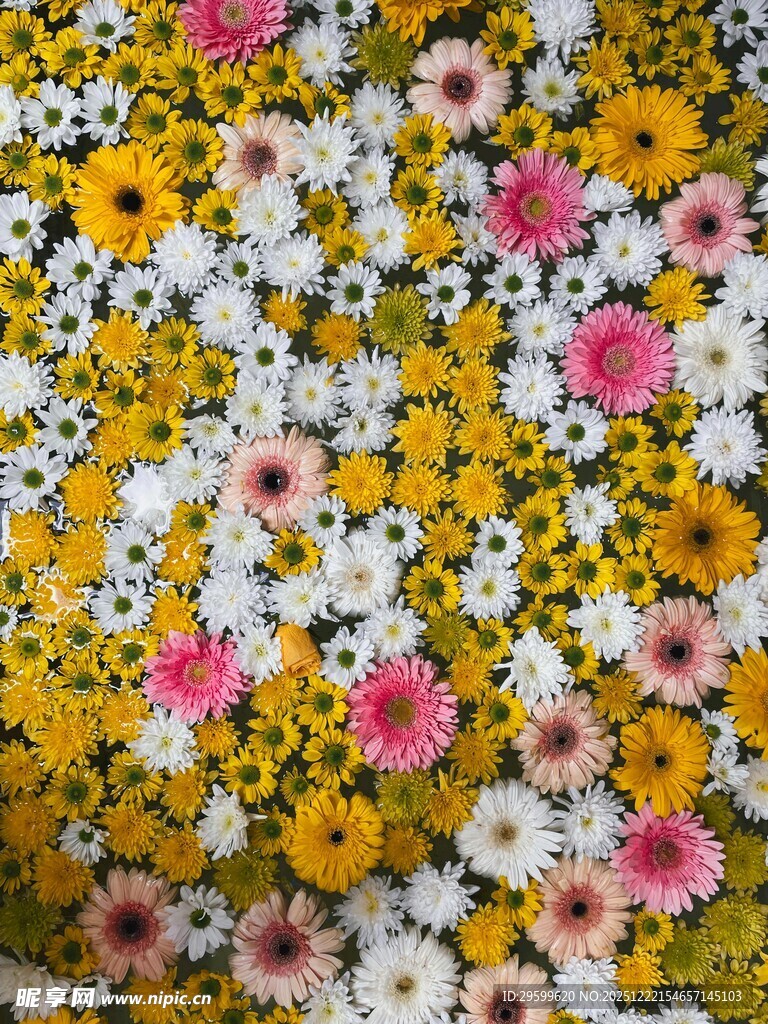 多彩花卉图案布料