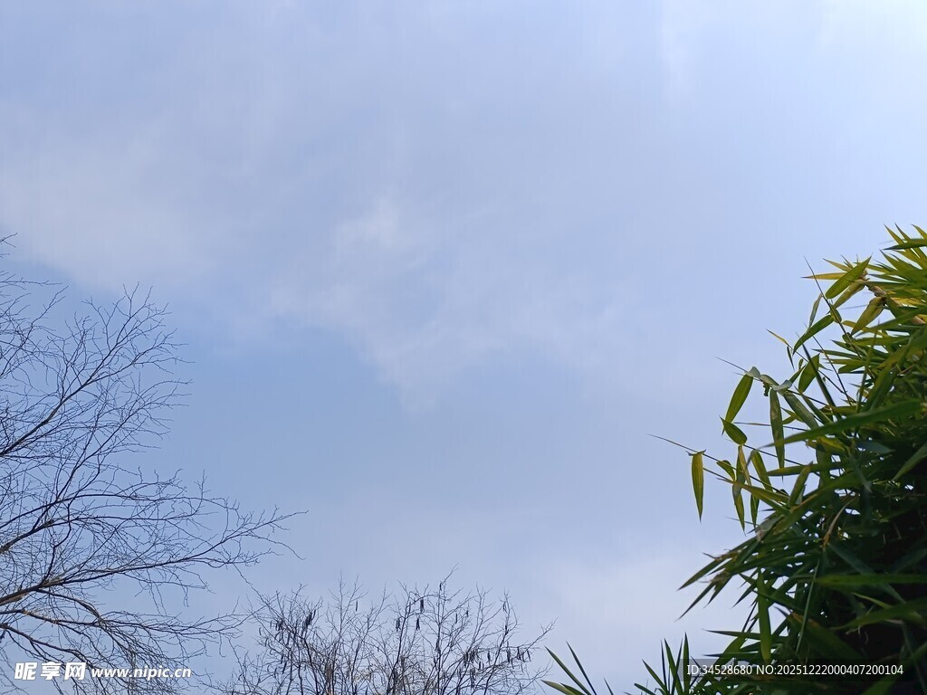 蓝天绿树的自然景致