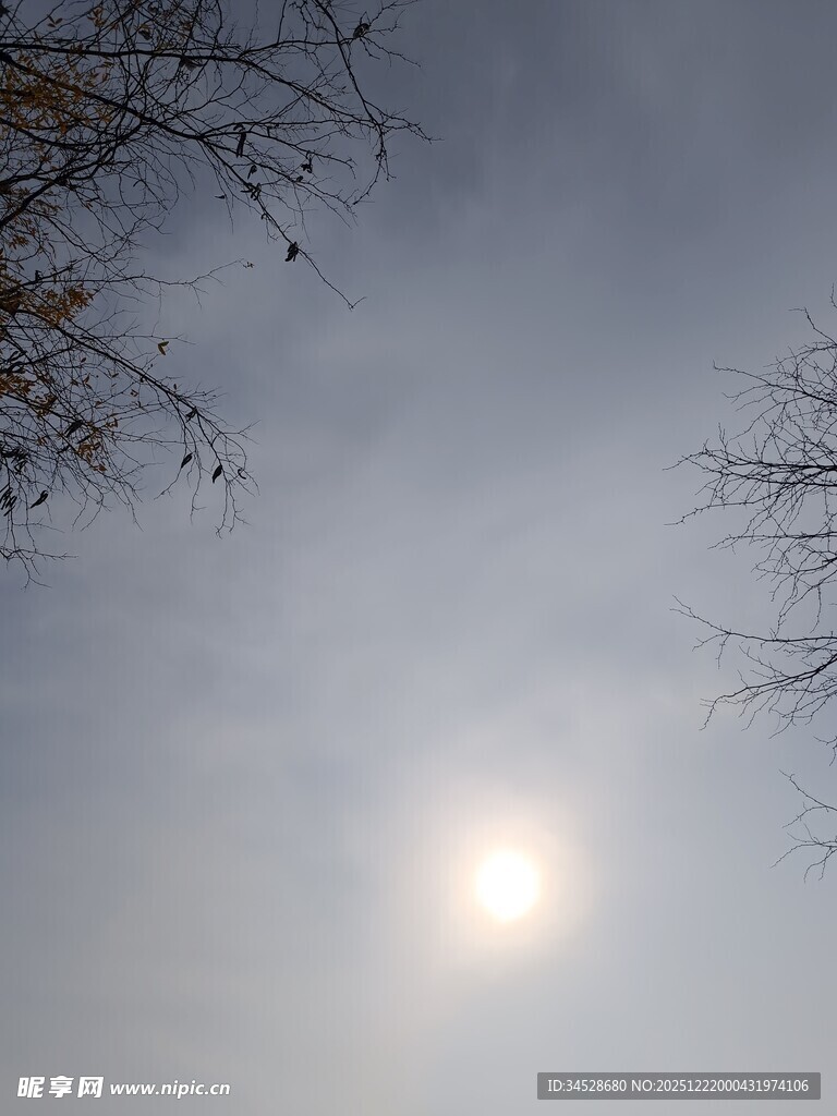 天空中的明亮太阳