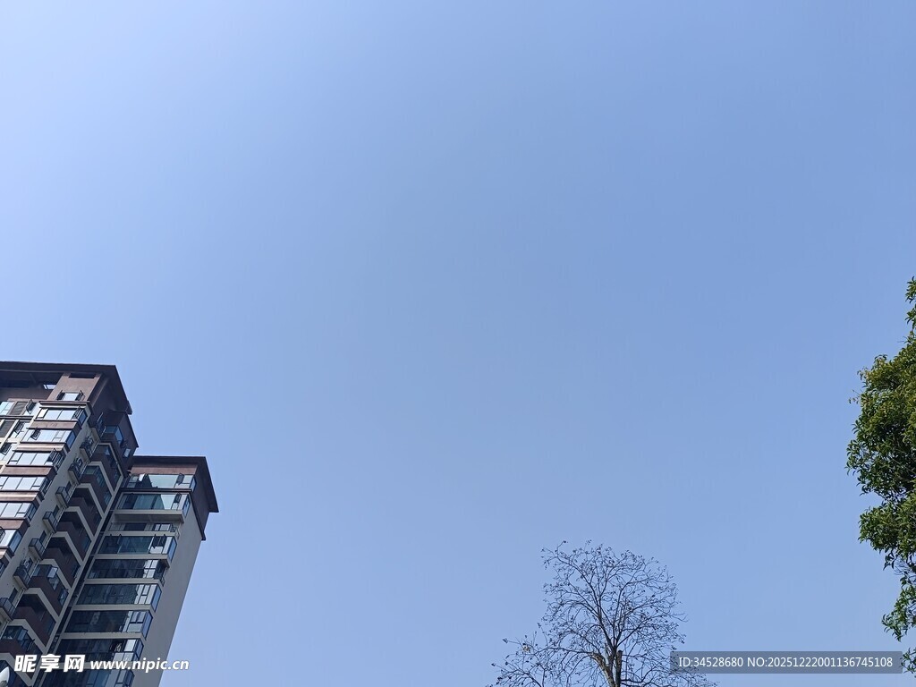 高楼与蓝天绿树景致