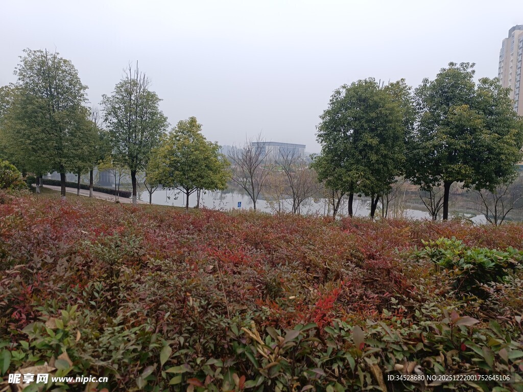 城市中多彩的植物景观