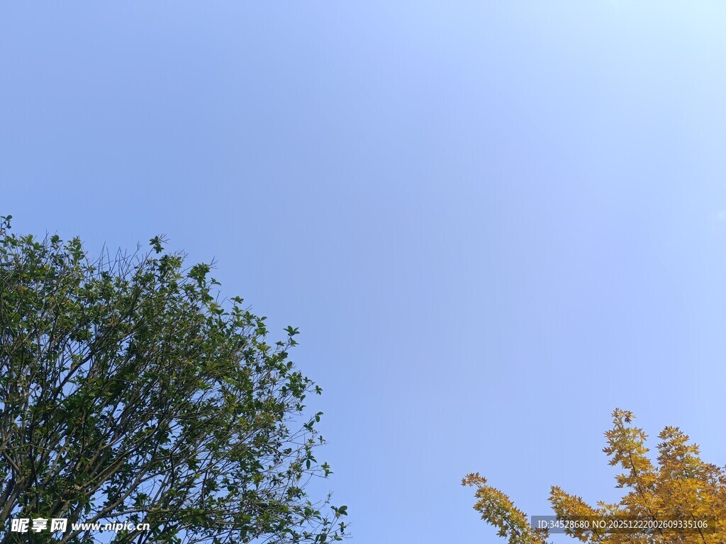 蓝天绿树间的秋日景致