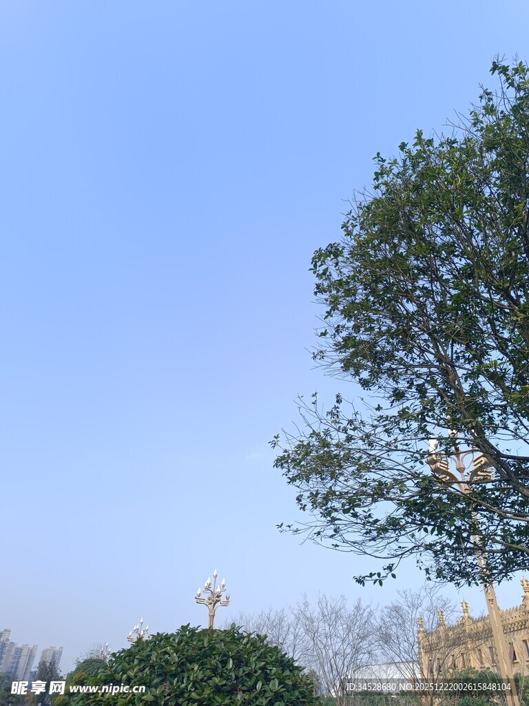 蓝天绿树旁的户外景致