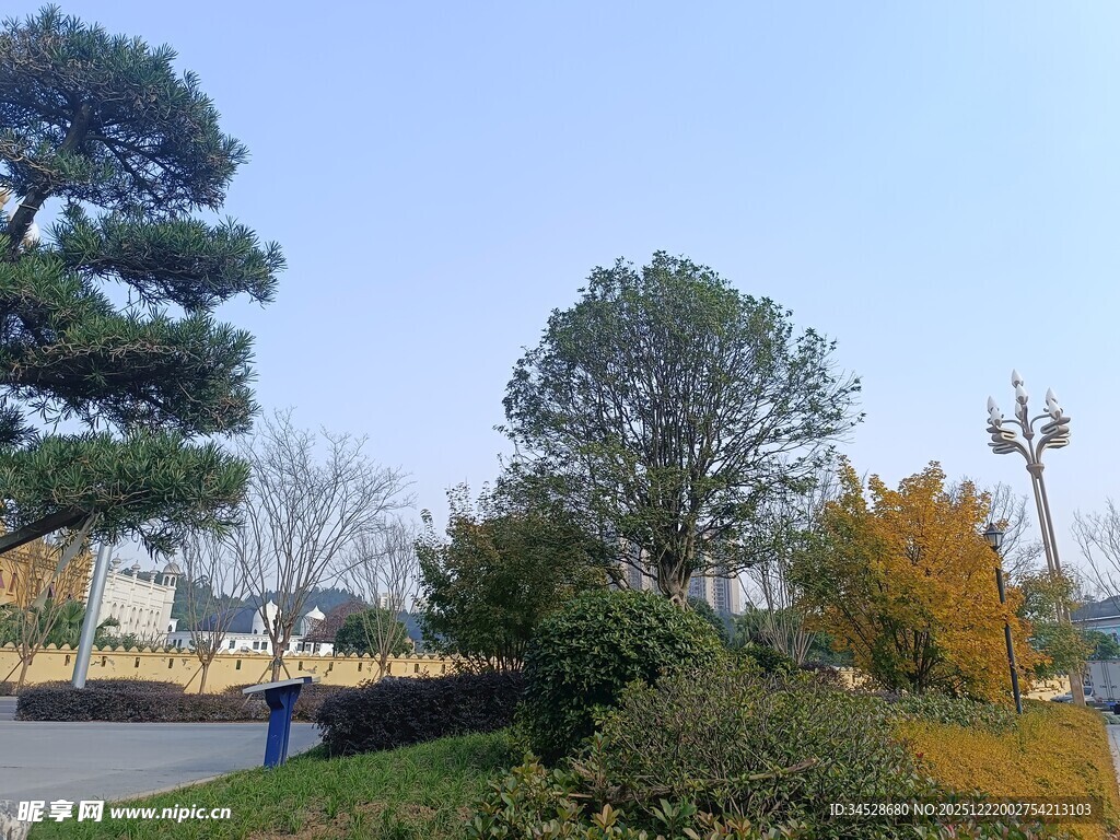 秋日公园绿植景观
