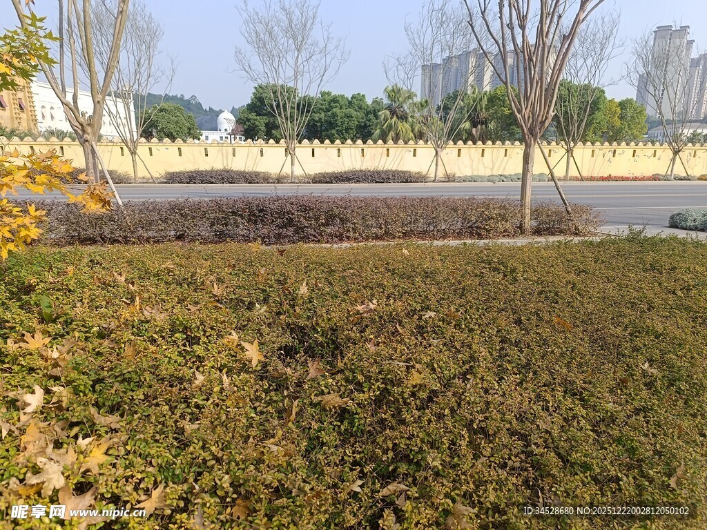 城市公园秋冬时节景观