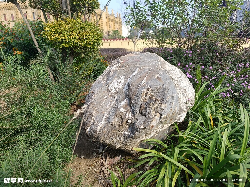 庭院中造型独特的景观石