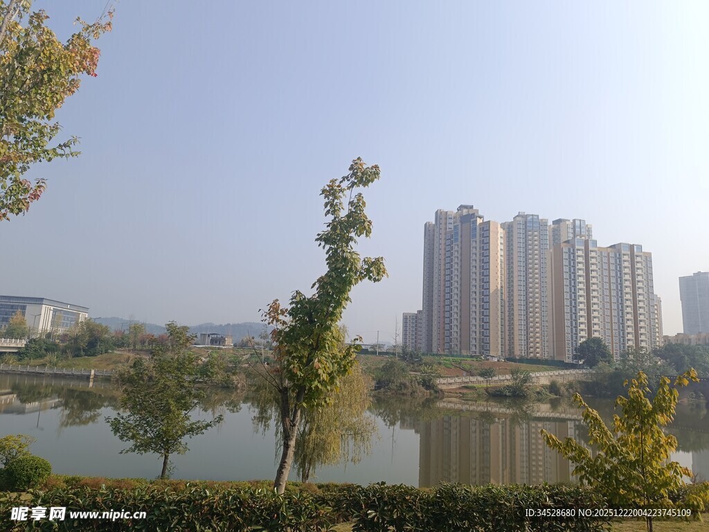 湖畔高楼与绿树景观