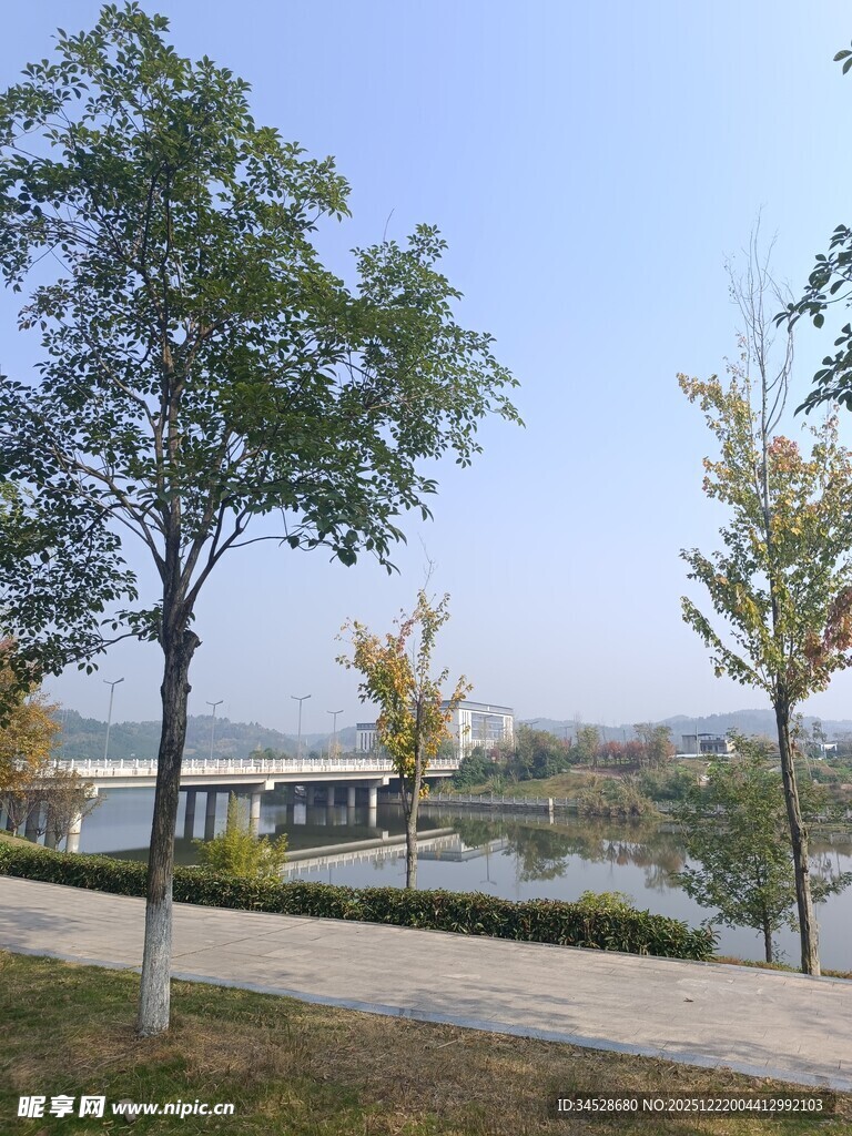 湖畔绿树成荫的宜人景致