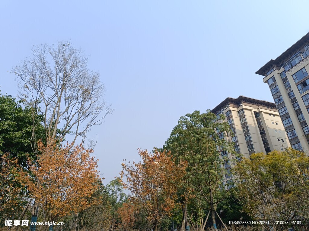 秋日小区旁的建筑与树木