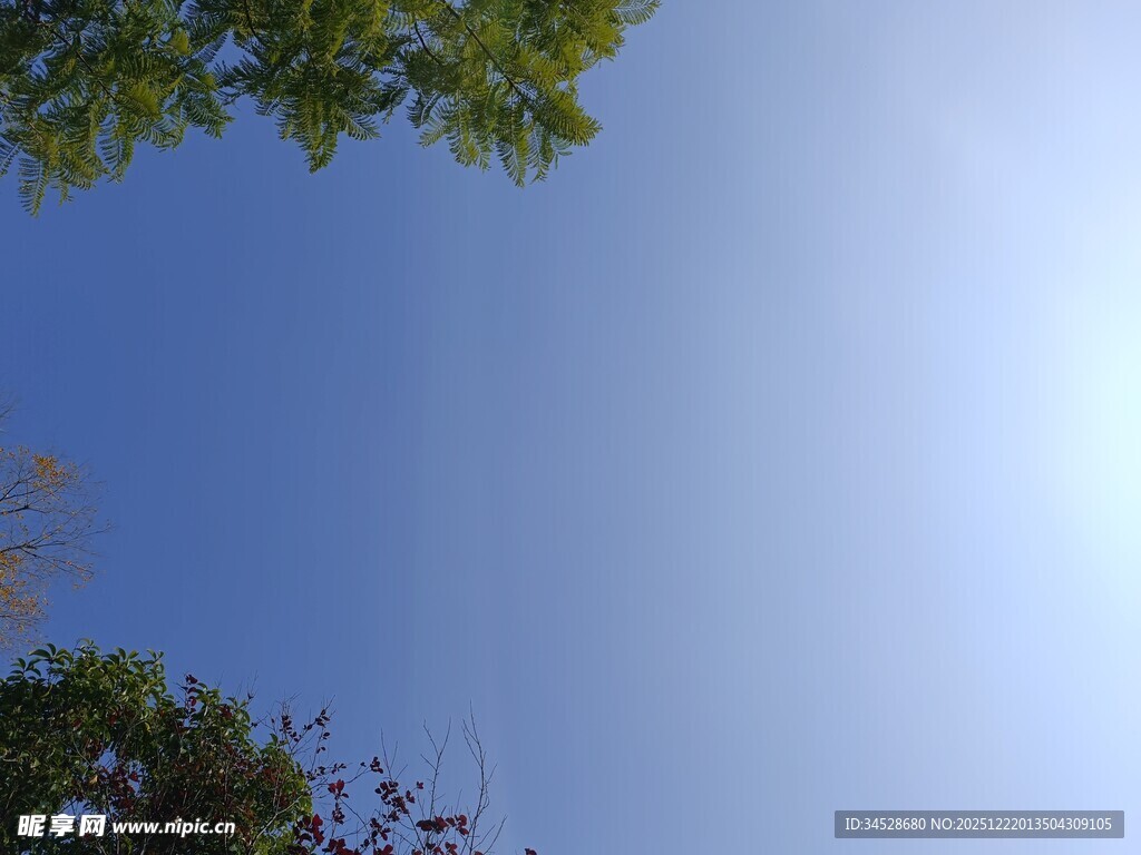 蓝天绿树间的晴朗景致