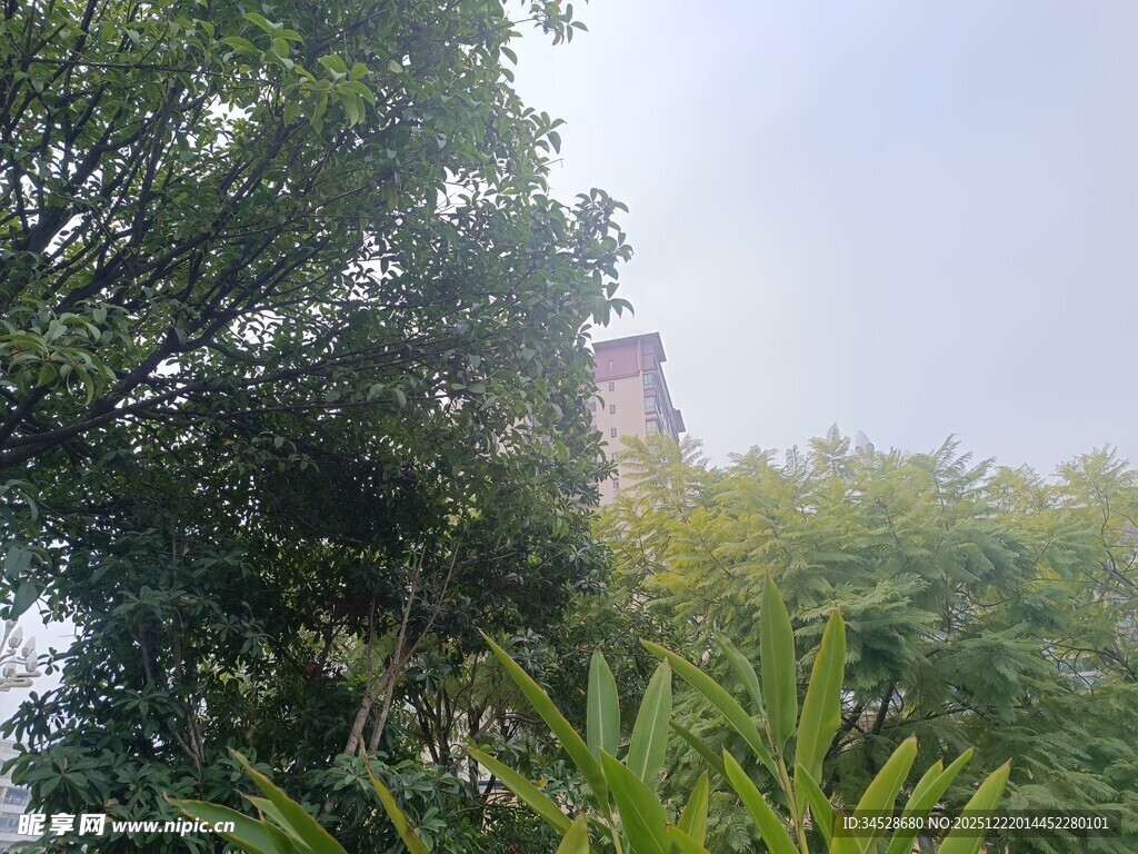 绿树掩映中的烟囱