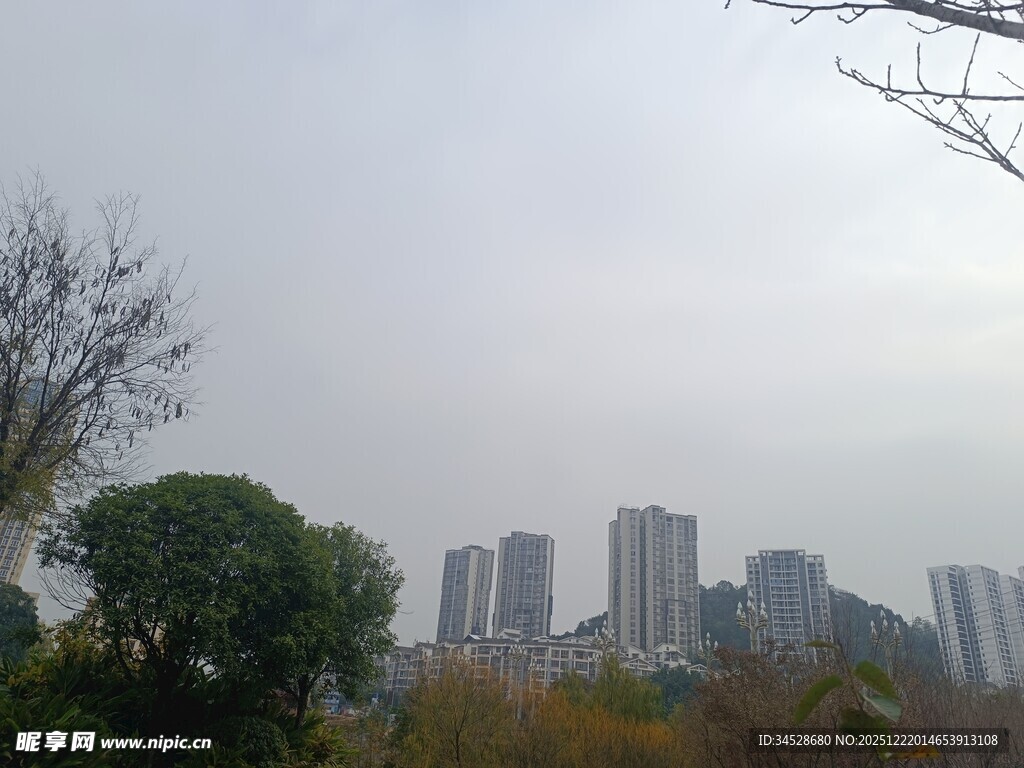城市远景与近处绿植景观