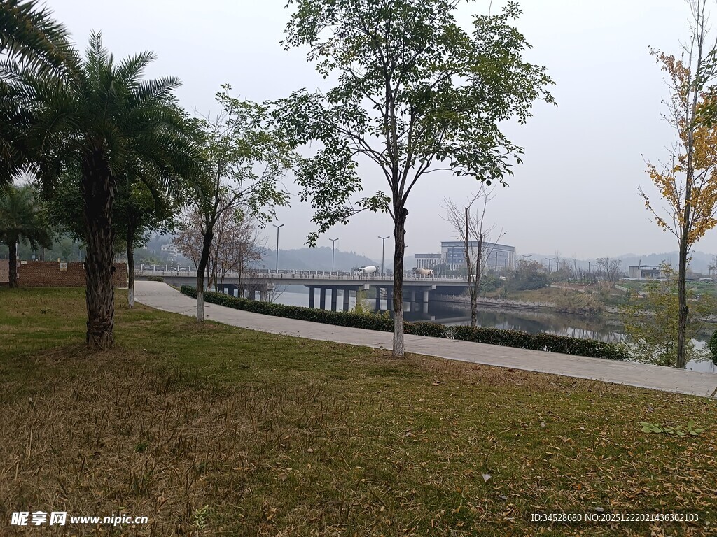 公园中的宁静步道景观