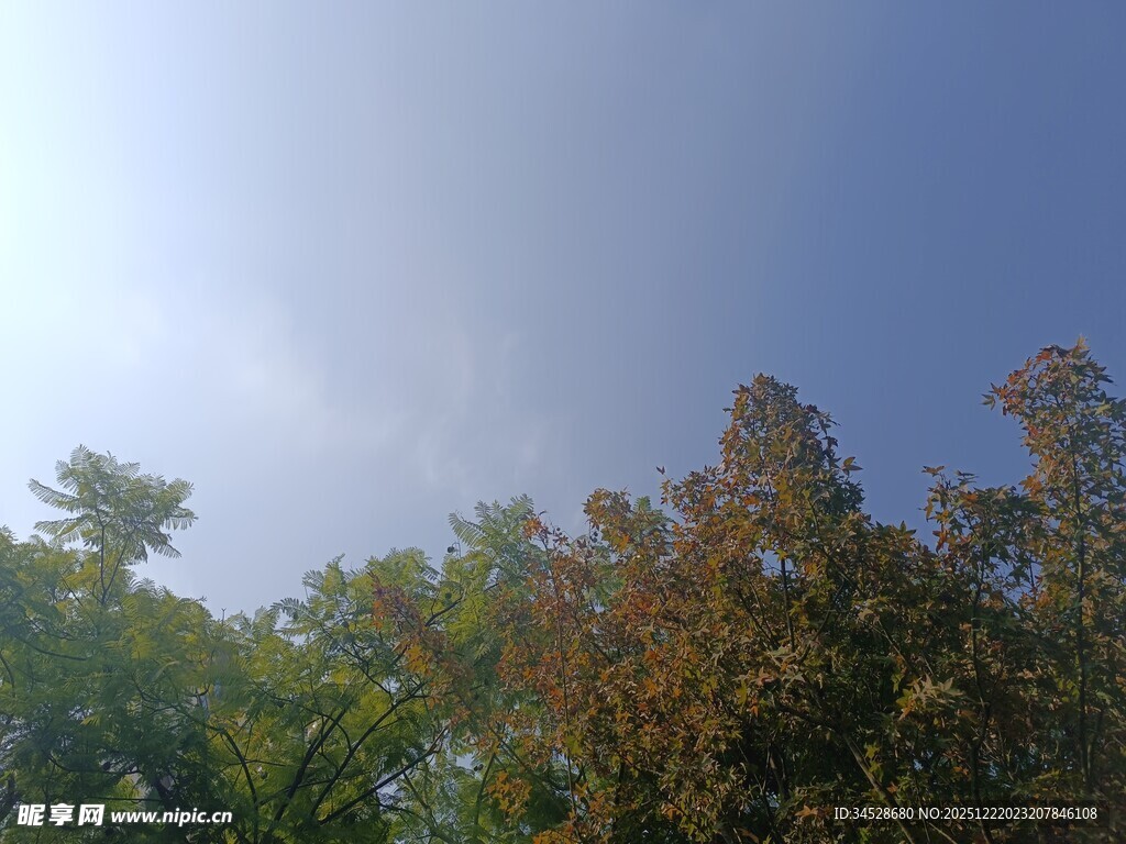 蓝天绿树间的自然景致