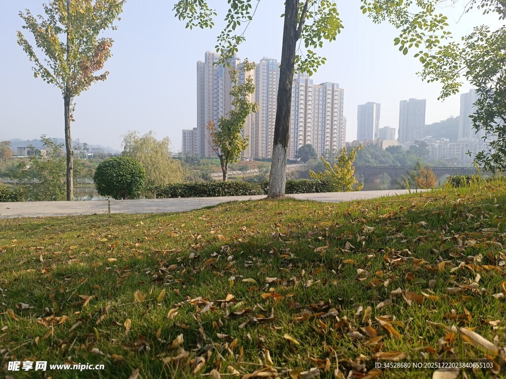 城市公园秋日草地风景