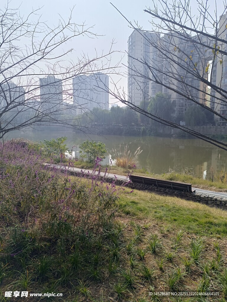 城市河畔风景
