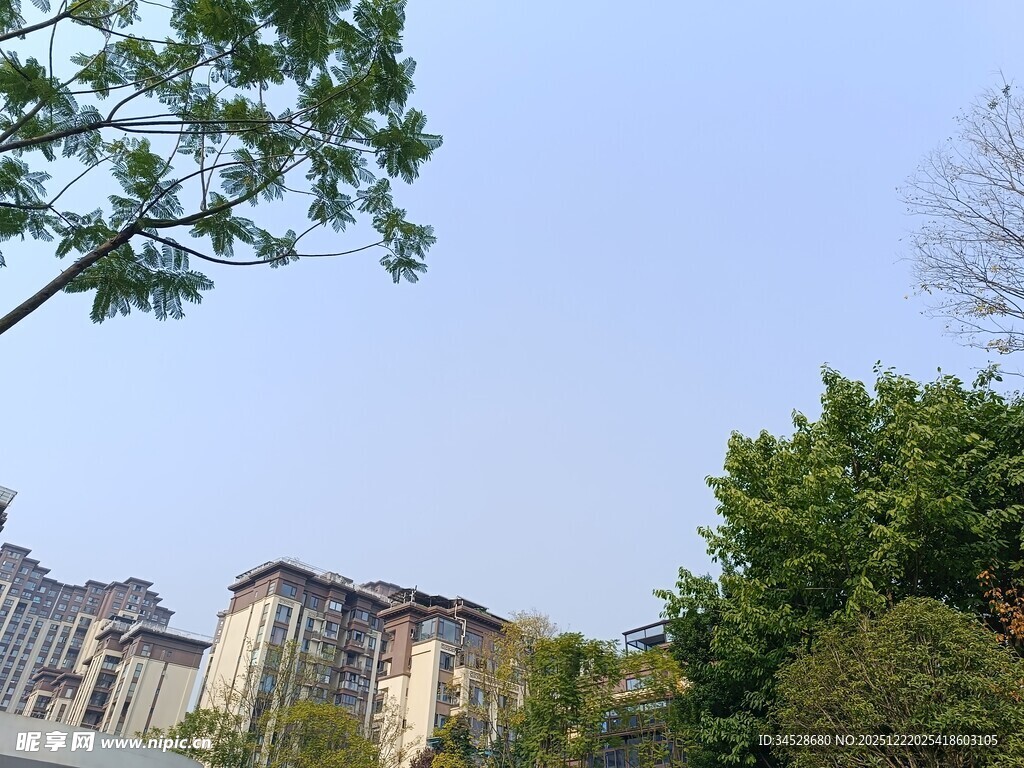 城市中的建筑与绿树景观